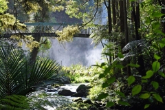 whangarei_falls_4