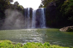 whangarei_falls_6