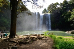 whangarei_falls_7