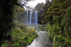 whangarei_falls_8