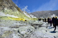 white_island_15