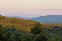 _DSC0596
