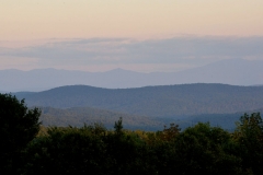 _DSC0599