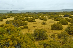 wilderness_scientific_reserve_01
