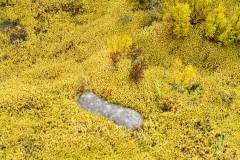 wilderness_scientific_reserve_03