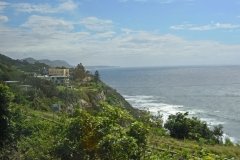 bahnfahrt_wollongong_02