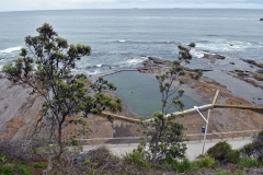 wollongong_badebecken